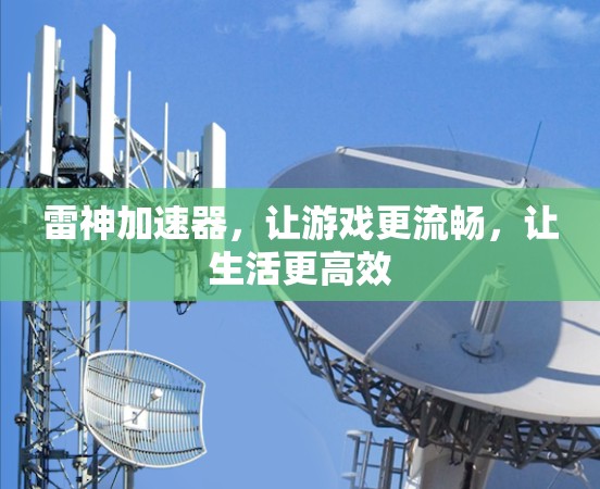 雷神加速器,让游戏更流畅,让生活更高效 雷神加速器,让游戏更流畅,让生活更高效