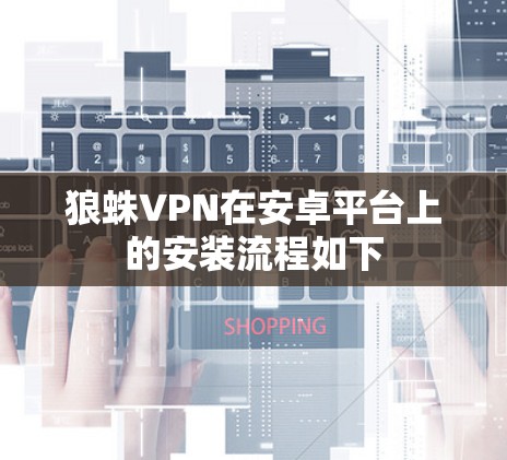 狼蛛VPN在安卓平台上的安装流程如下