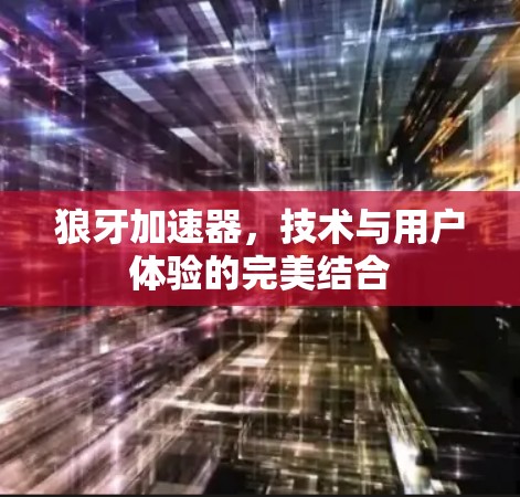 狼牙加速器，技术与用户体验的完美结合