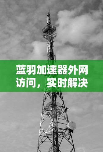 蓝羽加速器外网访问，实时解决方案，提升效率