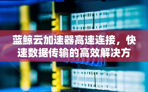 蓝鲸云加速器高速连接,快速数据传输的高效解决方案 蓝鲸云加速器高速连接,快速数据传输的高效解决方案