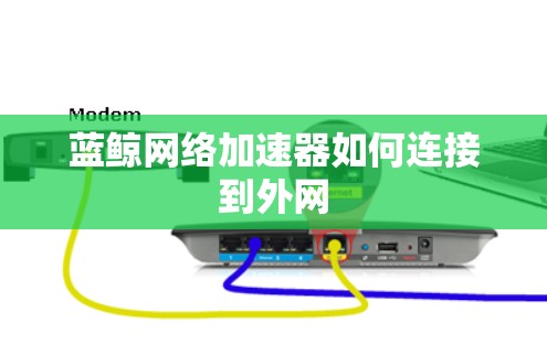 蓝鲸网络加速器如何连接到外网 蓝鲸网络加速器如何连接到外网