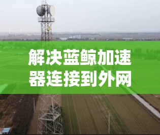 解决蓝鲸加速器连接到外网时的连接问题,可以按照以下步骤进行 解决蓝鲸加速器连接到外网时的连接问题,可以按照以下步骤进行