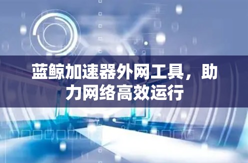蓝鲸加速器外网工具,助力网络高效运行 蓝鲸加速器外网工具,助力网络高效运行