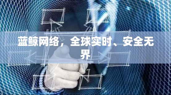 蓝鲸网络,全球实时、安全无界 蓝鲸网络,全球实时、安全无界