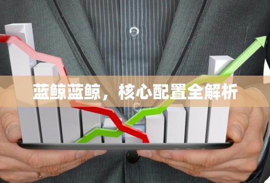 蓝鲸蓝鲸,核心配置全解析 蓝鲸蓝鲸,核心配置全解析