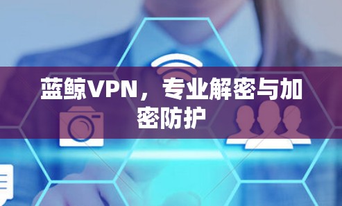 蓝鲸VPN，专业解密与加密防护