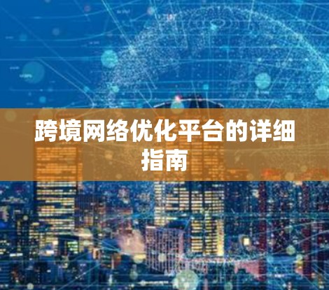 跨境网络优化平台的详细指南