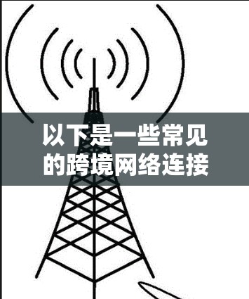 以下是一些常见的跨境网络连接软件类型