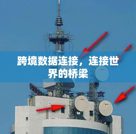 跨境数据连接，连接世界的桥梁