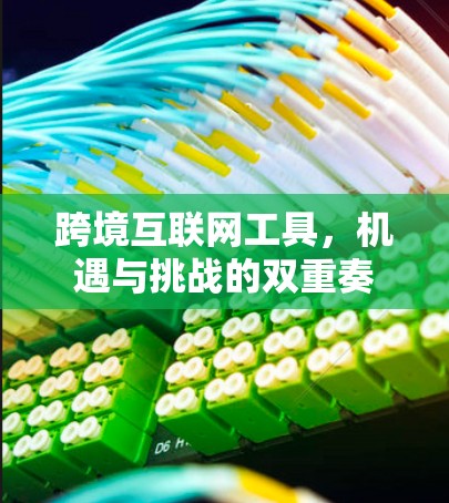 跨境互联网工具，机遇与挑战的双重奏