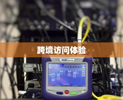 跨境访问体验 跨境访问体验