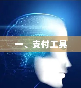 一、支付工具 一、支付工具