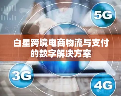 白星跨境电商物流与支付的数字解决方案 白星跨境电商物流与支付的数字解决方案