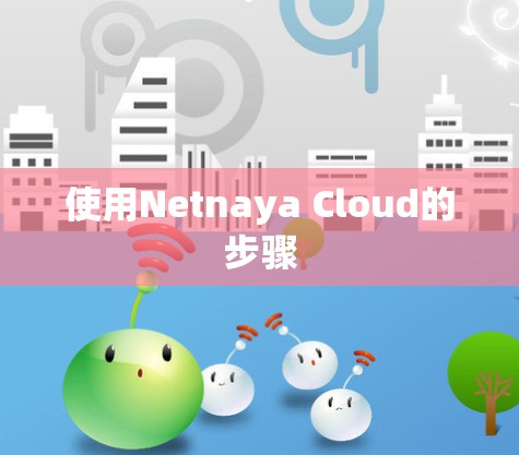 使用Netnaya Cloud的步骤