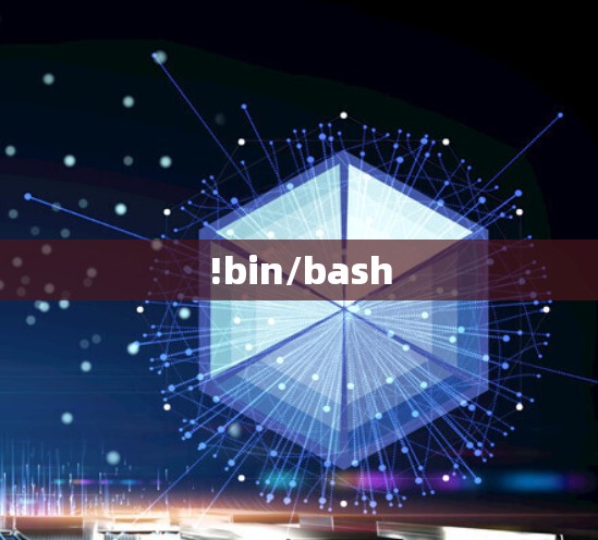 !bin/bash !bin/bash
