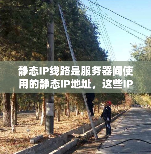 静态IP线路是服务器间使用的静态IP地址，这些IP地址在服务器间是静态分配的，不会随网络变化而改变。以下是关于静态IP线路的详细分析