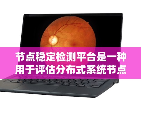 节点稳定检测平台是一种用于评估分布式系统节点稳定性和可靠性工具。它通过测试和分析节点性能指标，确保系统在正常运行中的稳定性和一致性。以下是该平台的详细介绍