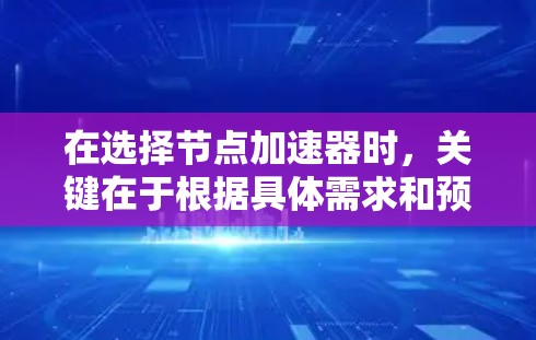 在选择节点加速器时，关键在于根据具体需求和预算进行权衡。以下是一些综合考虑的因素和推荐