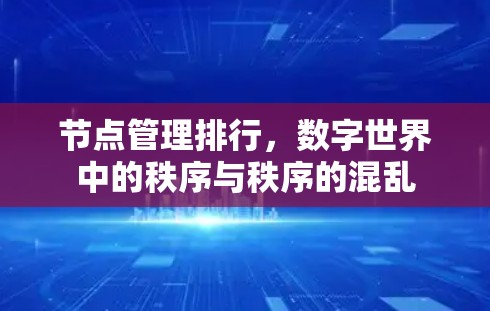 节点管理排行,数字世界中的秩序与秩序的混乱 节点管理排行,数字世界中的秩序与秩序的混乱