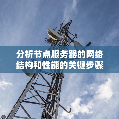分析节点服务器的网络结构和性能的关键步骤如下 分析节点服务器的网络结构和性能的关键步骤如下