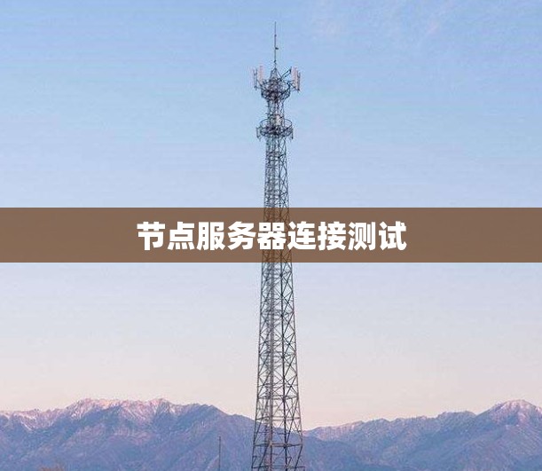 节点服务器连接测试 节点服务器连接测试