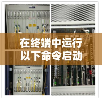 在终端中运行以下命令启动节点测速
