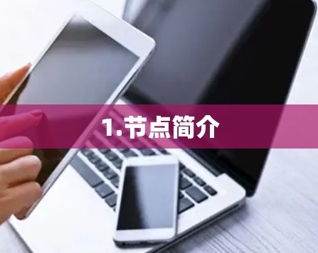 1.节点简介