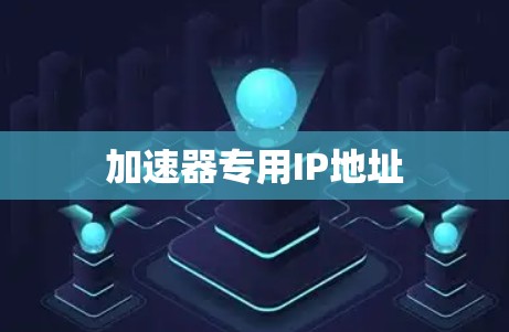 加速器专用IP地址