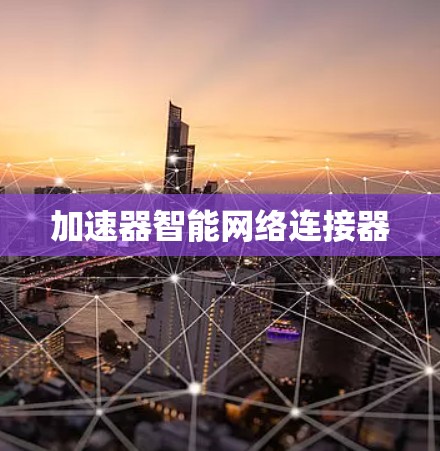 加速器智能网络连接器