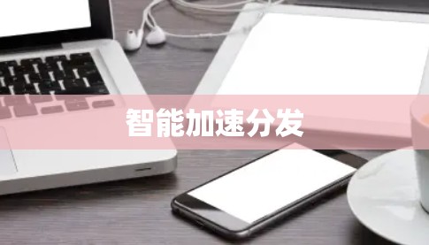 智能加速分发 智能加速分发