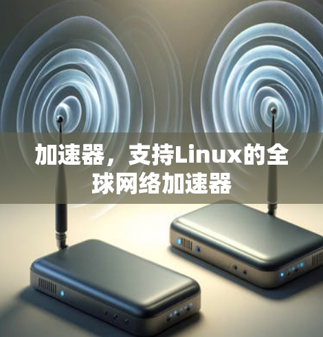 加速器,支持Linux的全球网络加速器 加速器,支持Linux的全球网络加速器