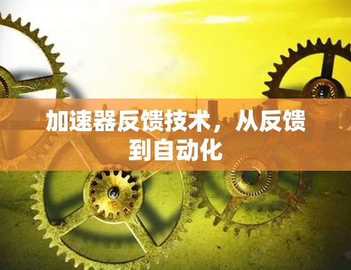 加速器反馈技术,从反馈到自动化 加速器反馈技术,从反馈到自动化