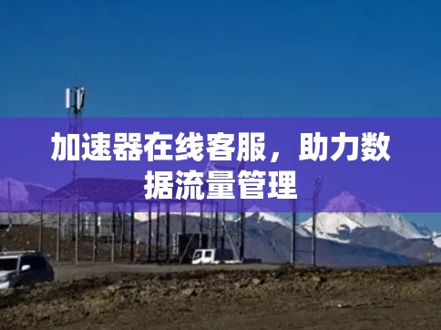 加速器在线客服，助力数据流量管理