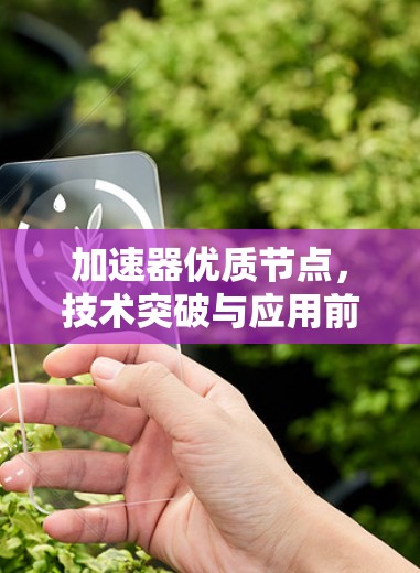 加速器优质节点,技术突破与应用前景 加速器优质节点,技术突破与应用前景