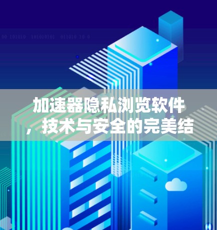 加速器隐私浏览软件,技术与安全的完美结合 加速器隐私浏览软件,技术与安全的完美结合