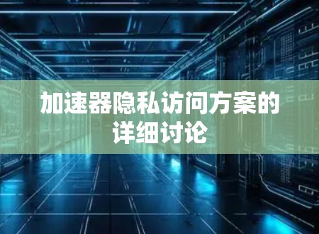 加速器隐私访问方案的详细讨论