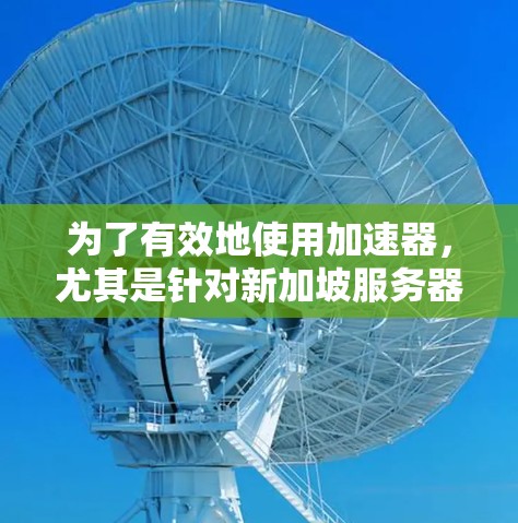为了有效地使用加速器，尤其是针对新加坡服务器的情况，以下是一个有条理的步骤指南