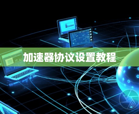 加速器协议设置教程