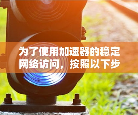 为了使用加速器的稳定网络访问，按照以下步骤操作