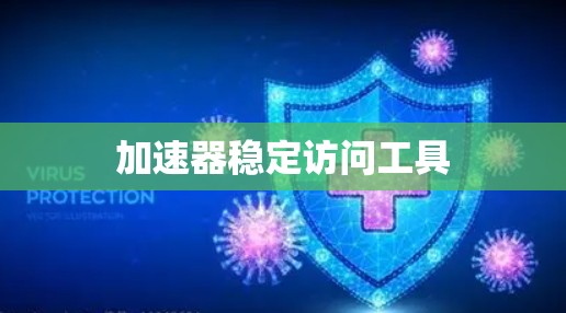 加速器稳定访问工具 加速器稳定访问工具