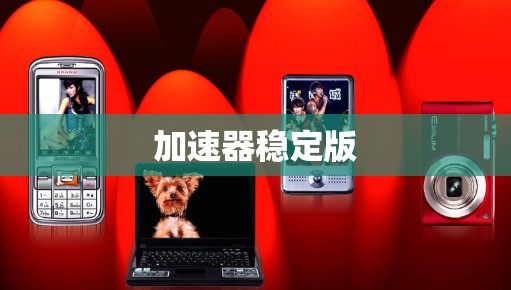 加速器稳定版 加速器稳定版