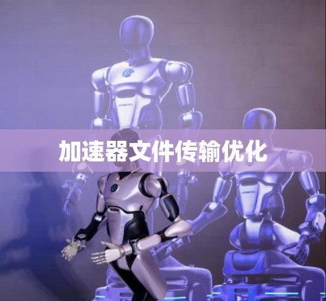 加速器文件传输优化 加速器文件传输优化