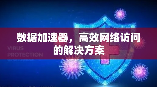 数据加速器,高效网络访问的解决方案