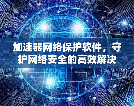 加速器网络保护软件,守护网络安全的高效解决方案