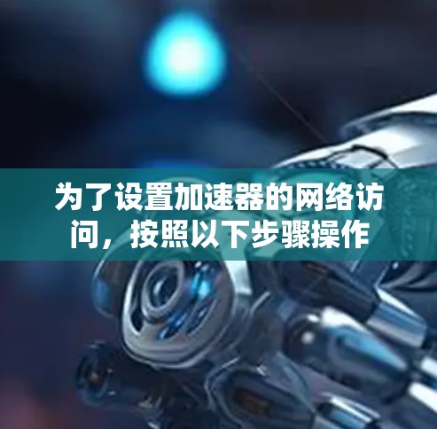 为了设置加速器的网络访问,按照以下步骤操作