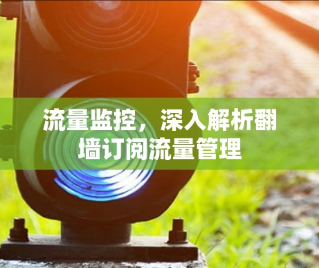 流量监控，深入解析翻墙订阅流量管理